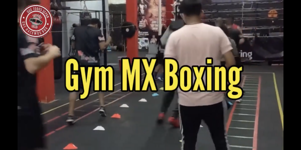Gym Mx Boxing