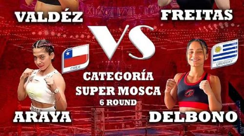 Boxeo femenino en primer plano: Match Boxing XIV