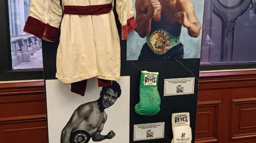 “Verde y Oro”: una exposición que recorre la historia del boxeo a través de sus campeones