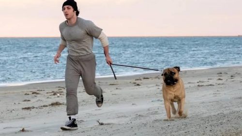 50 años de Rocky: “I Play Rocky” abrirá el Festival de Cine de los Hamptons