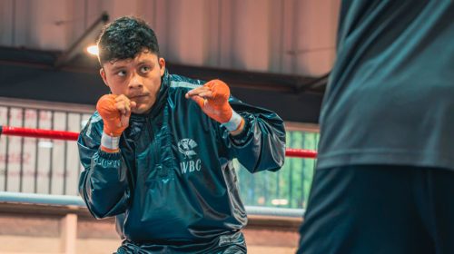 PITBULL CRUZ, LISTO PARA OTRA GUERRA EN LAS 140 LIBRAS