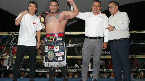 Cosme Sosa noqueó a Nerio y se quedó con el título Fedelatin WBA en Boxeo LAZ
